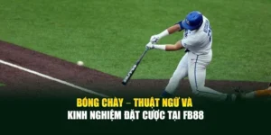 Bóng Chày – Thuật Ngữ Và Kinh Nghiệm Đặt Cược Tại Fb88