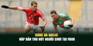 Bóng Đá Gaelic Hấp Dẫn Thu Hút Người Chơi Tại Fb88
