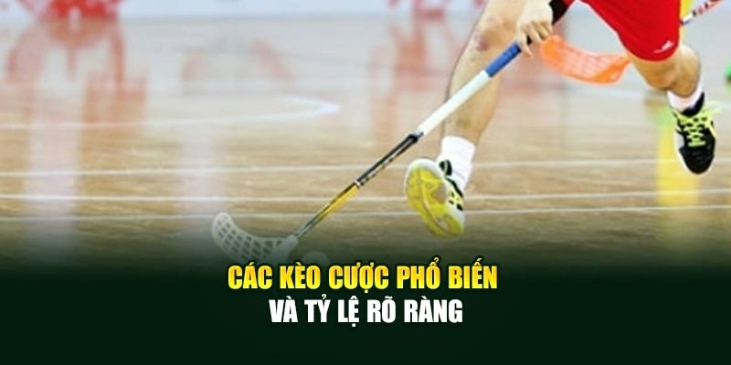 Các kèo cược phổ biến và tỷ lệ rõ ràng