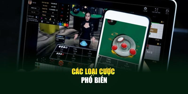 Các loại cược phổ biến