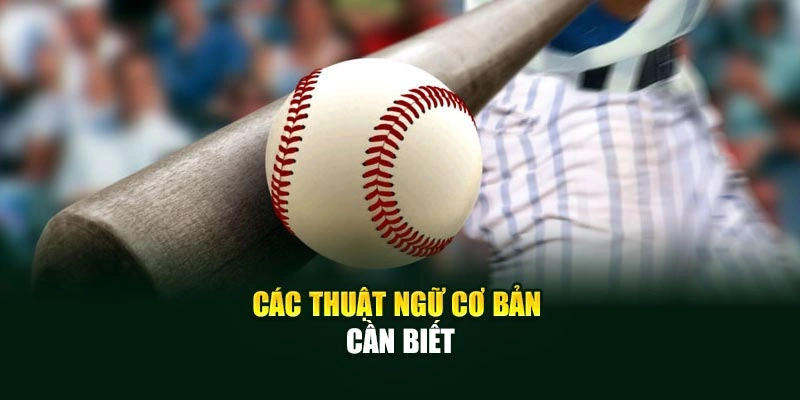 Các thuật ngữ cơ bản cần biết
