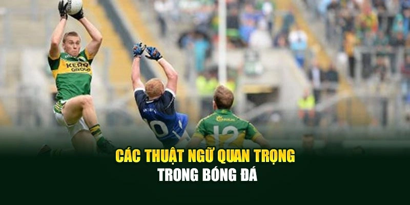 Các thuật ngữ quan trọng trong bóng đá