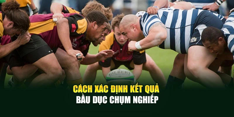 Cách xác định kết quả bầu dục chụm nghiếp