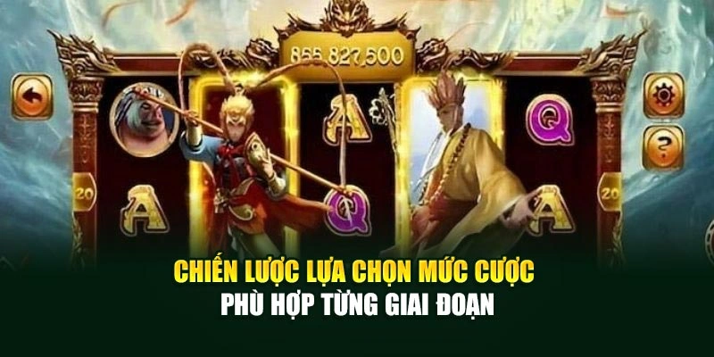 Chiến lược lựa chọn mức cược phù hợp từng giai đoạn