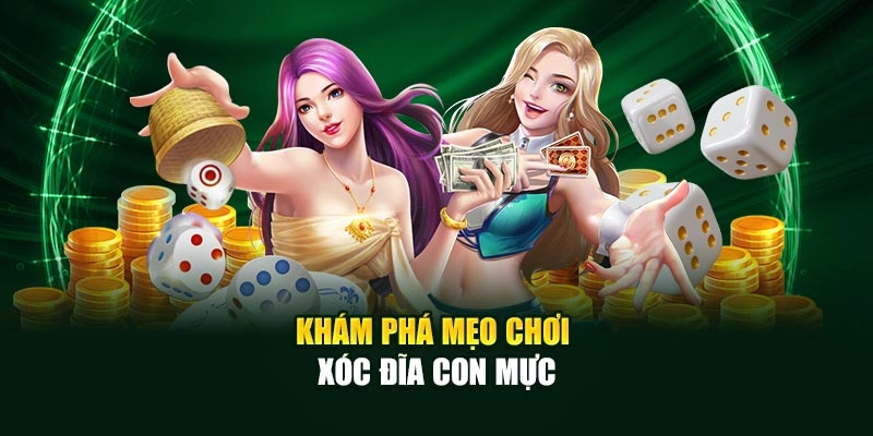Khám phá mẹo chơi Xóc Đĩa Con Mực