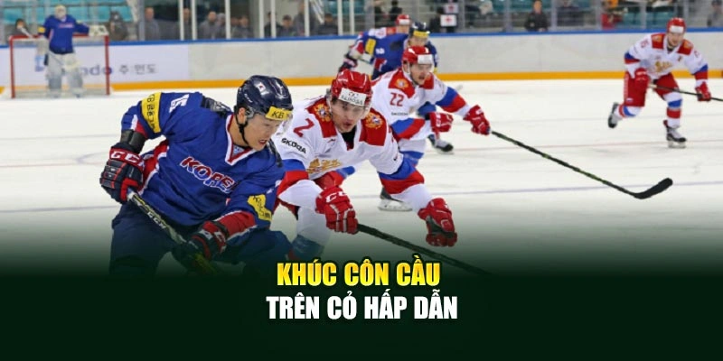 Khúc côn cầu trên cỏ hấp dẫn