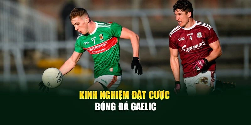 Kinh nghiệm đặt cược bóng đá Gaelic