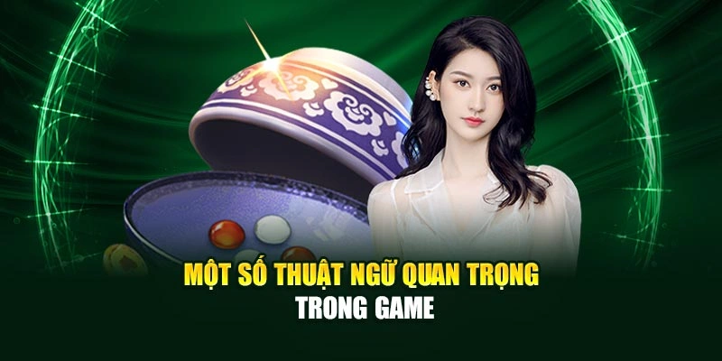 Một số thuật ngữ quan trọng trong game
