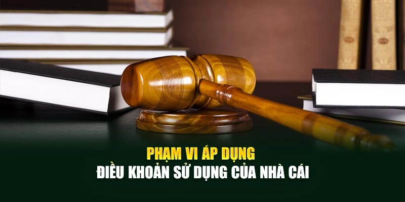Phạm vi áp dụng điều khoản sử dụng của nhà cái