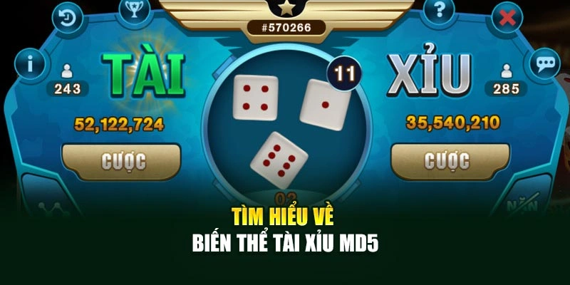 Tìm hiểu về biến thể Tài Xỉu MD5