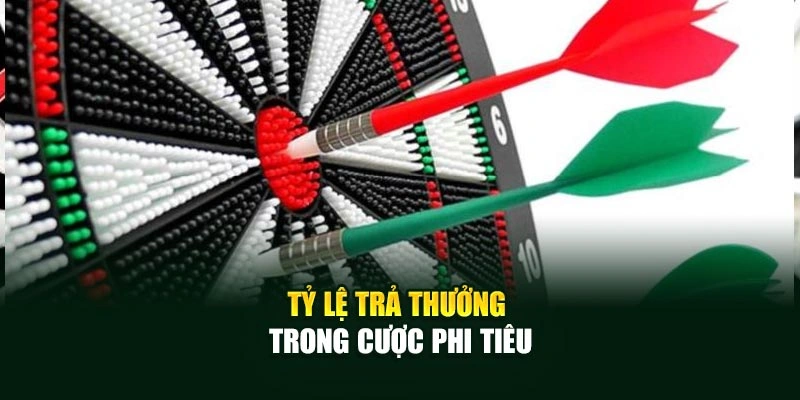 Tỷ lệ trả thưởng trong cược phi tiêu
