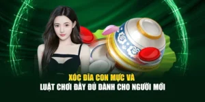 Xóc Đĩa Con Mực Và Luật Chơi Đầy Đủ Dành Cho Người Mới